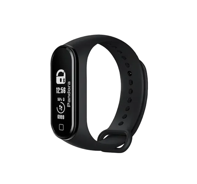 Wearable Tags